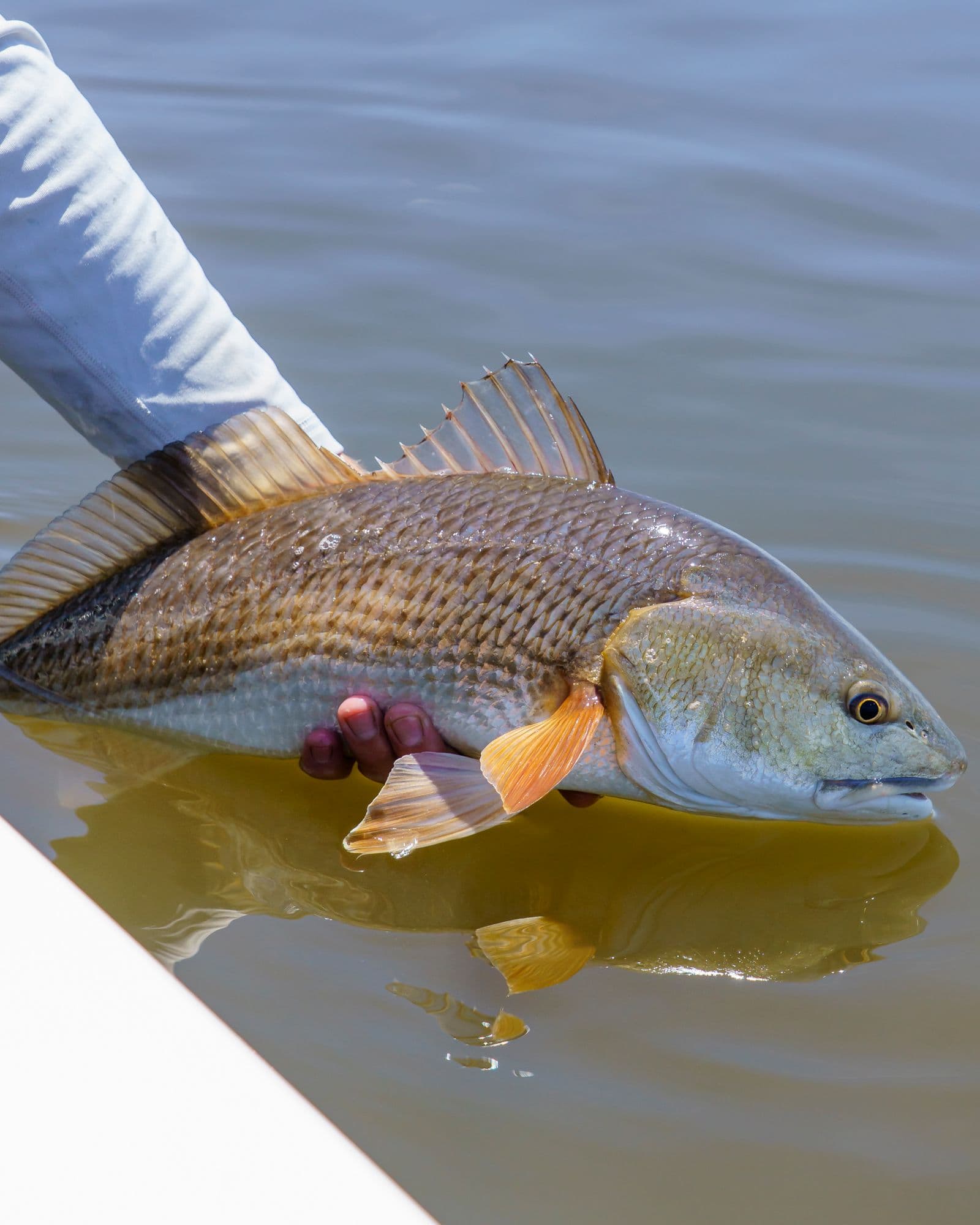 Slot Red caught on an M&M Custom Tackle jig