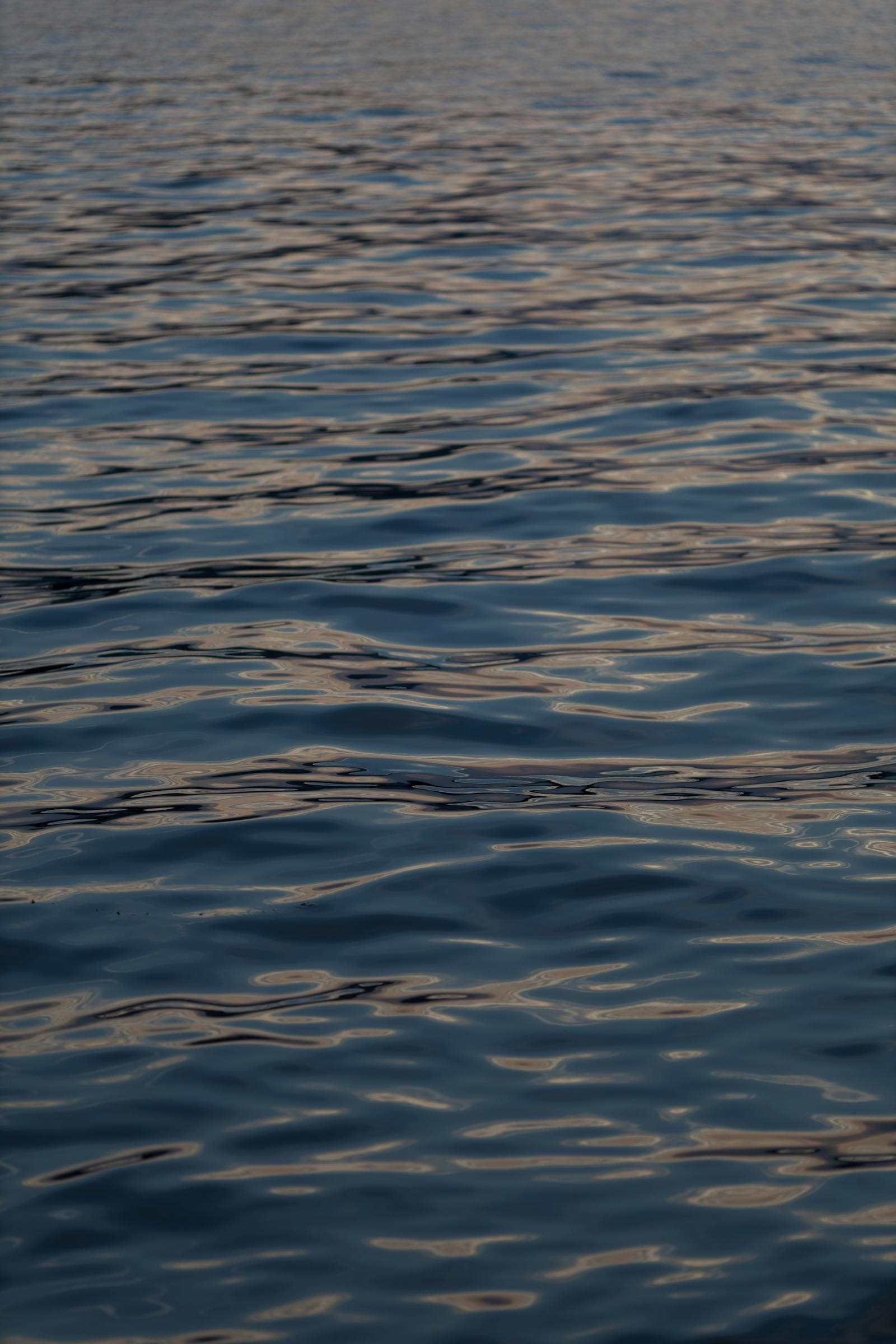 Florida bonefish: what the catch-and-release rules mean for you